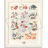 Lebanon - My  Numbers