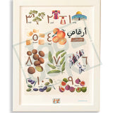 Palestine - My Numbers