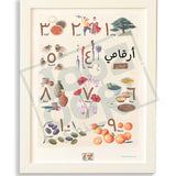 Lebanon - My Numbers - Joozoori